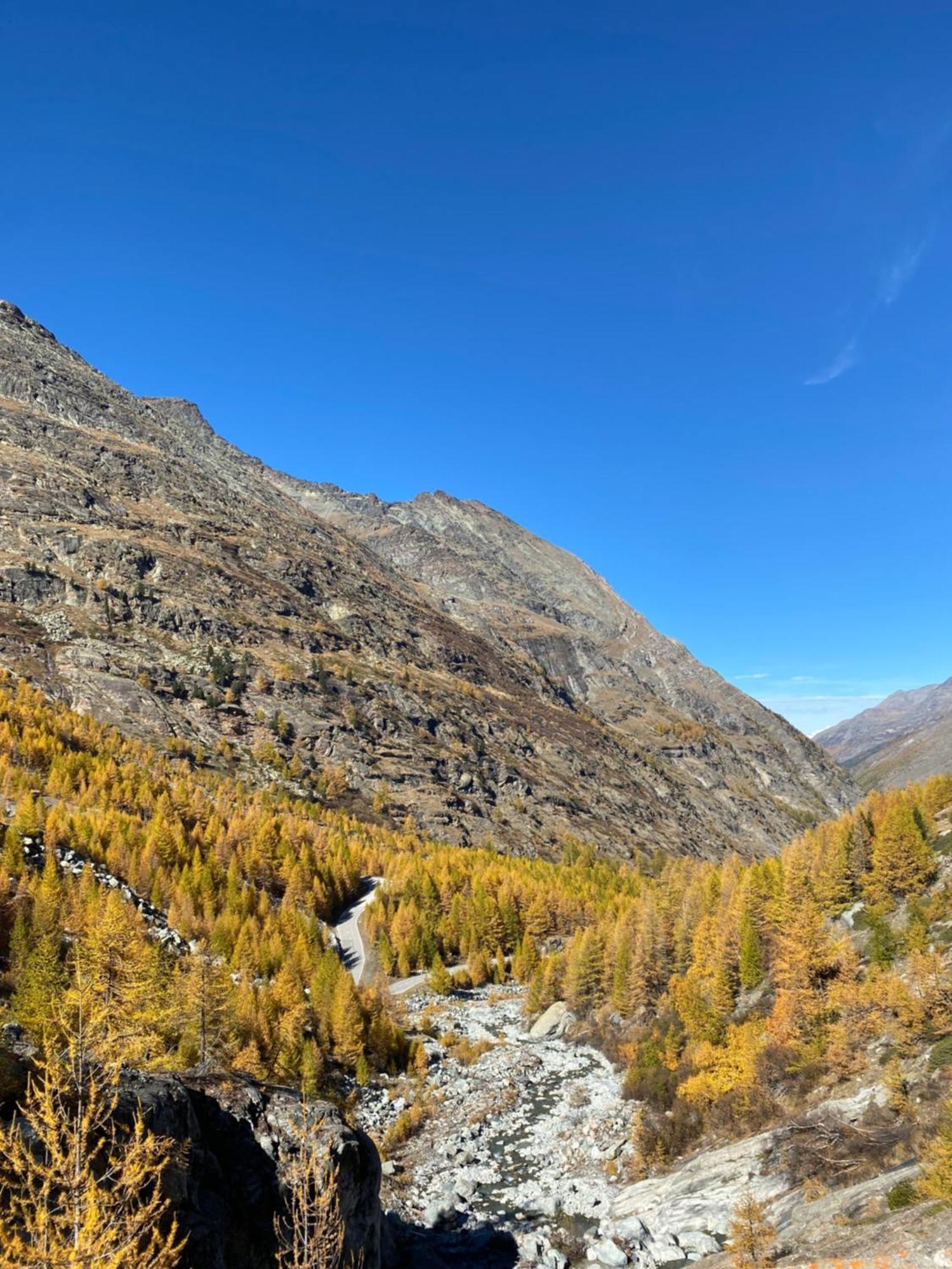 Apartments Arcadia Saas-Grund Dış mekan fotoğraf